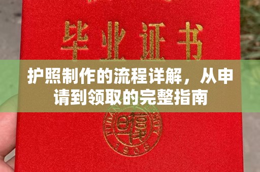 滨湖护照制作的流程详解，从申请到领取的完整指南
