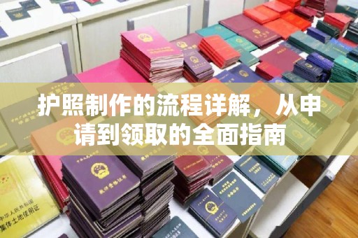 滨湖护照制作的流程详解，从申请到领取的全面指南