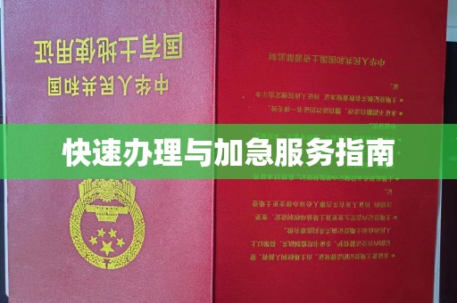 滨湖快速办理与加急服务指南