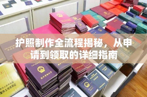 滨湖护照制作全流程揭秘，从申请到领取的详细指南
