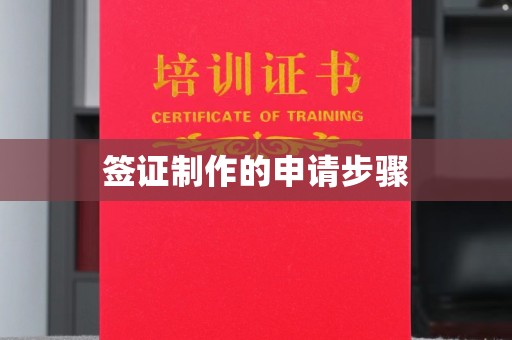 滨湖签证制作的申请步骤