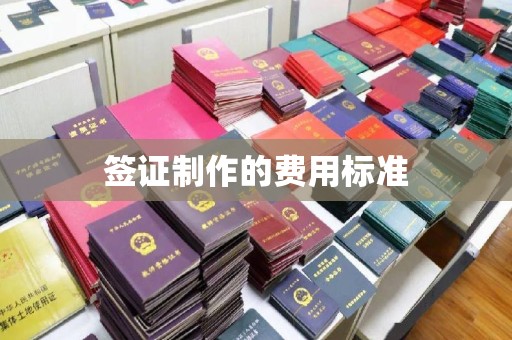 滨湖签证制作的费用标准