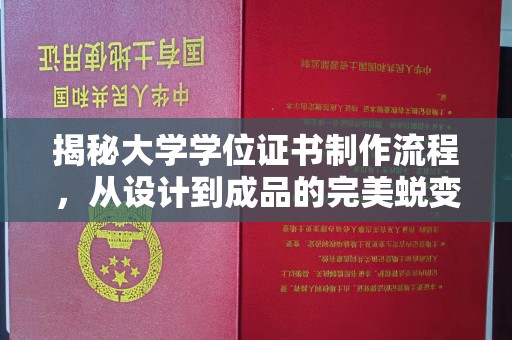 滨湖揭秘大学学位证书制作流程，从设计到成品的完美蜕变