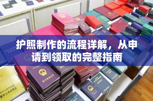 滨湖护照制作的流程详解，从申请到领取的完整指南