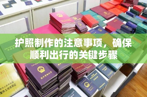 滨湖护照制作的注意事项，确保顺利出行的关键步骤