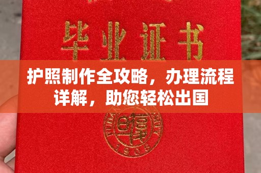 滨湖护照制作全攻略，办理流程详解，助您轻松出国