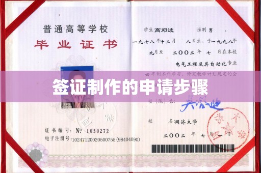 滨湖签证制作的申请步骤