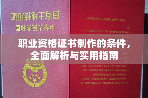 滨湖职业资格证书制作的条件，全面解析与实用指南