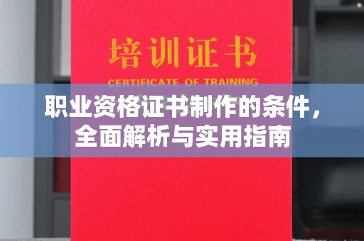 滨湖职业资格证书制作的条件，全面解析与实用指南