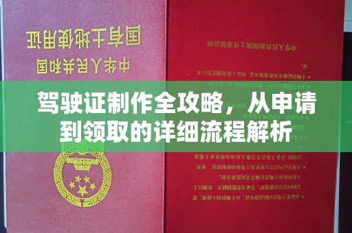 滨湖驾驶证制作全攻略，从申请到领取的详细流程解析